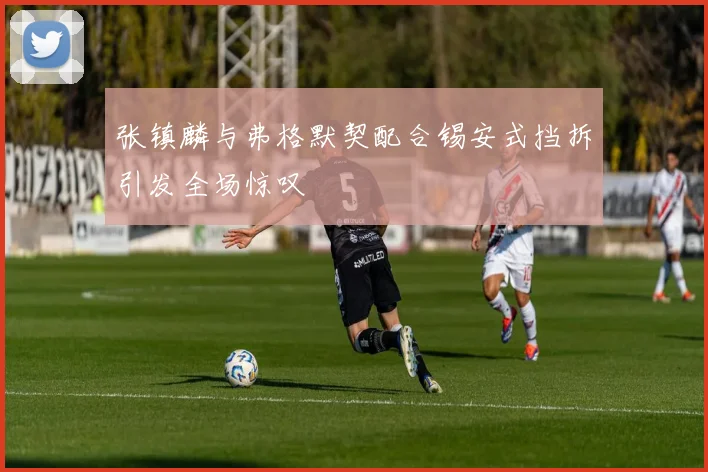 张镇麟与弗格默契配合锡安式挡拆引发全场惊叹